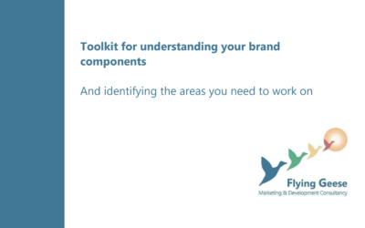 Toolkit for Understanding your Brand Components